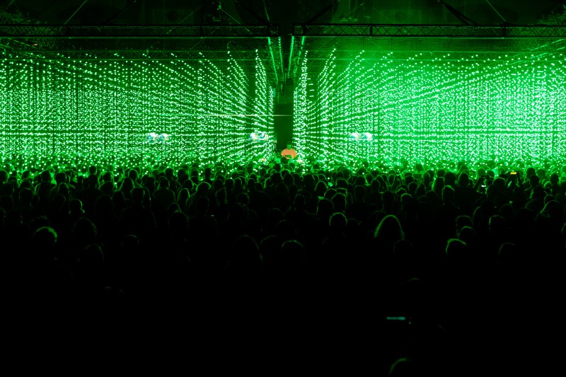Heads at a nightclub with green lights